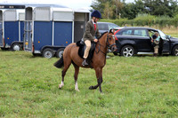 Hurworth Hunt 3
