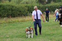 Hurworth Hunt 129