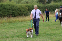 Hurworth Hunt 130