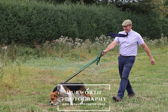 Hurworth Hunt 132