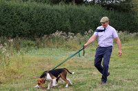Hurworth Hunt 133