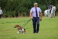 Hurworth Hunt 196