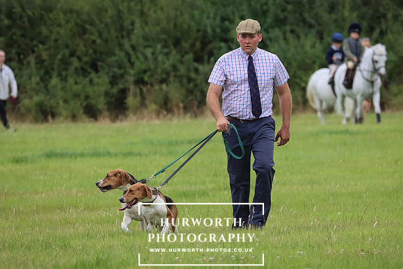 Hurworth Hunt 196