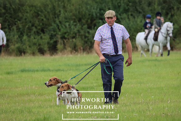 Hurworth Hunt 195