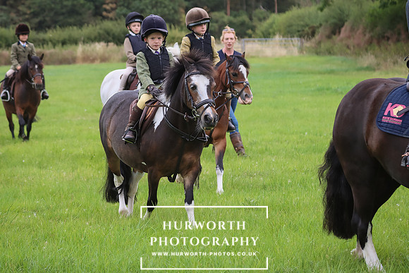 Hurworth Hunt 219