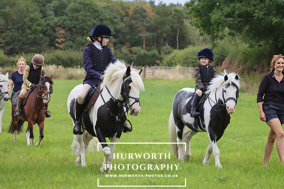 Hurworth Hunt 215