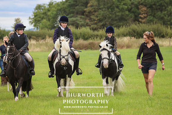 Hurworth Hunt 214