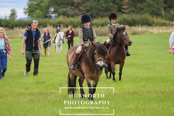 Hurworth Hunt 223