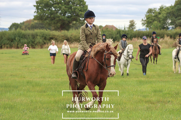 Hurworth Hunt 241