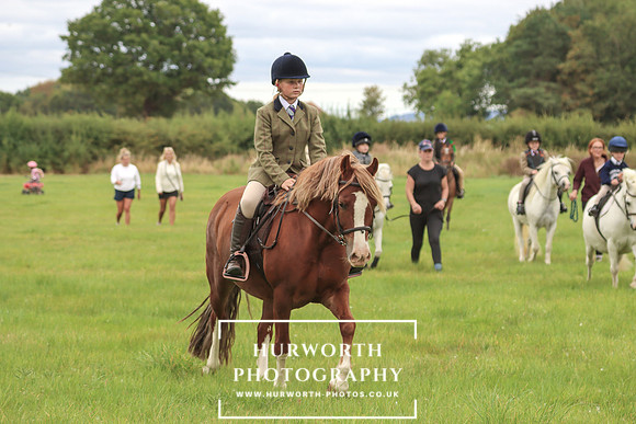Hurworth Hunt 243