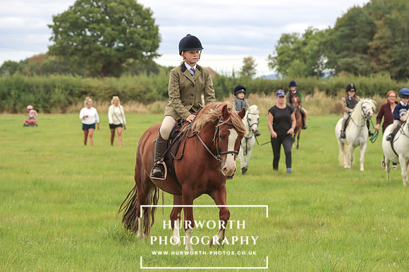 Hurworth Hunt 242