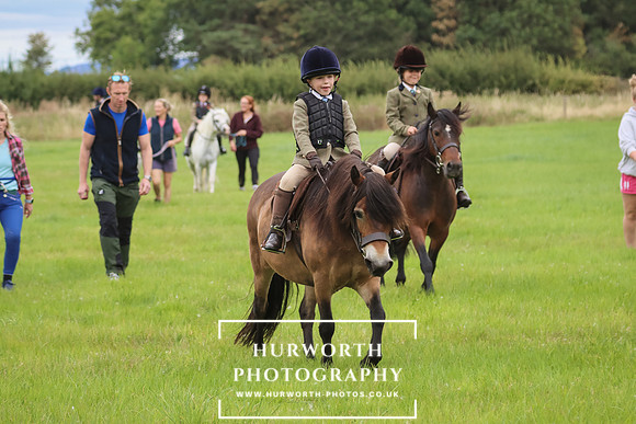 Hurworth Hunt 224