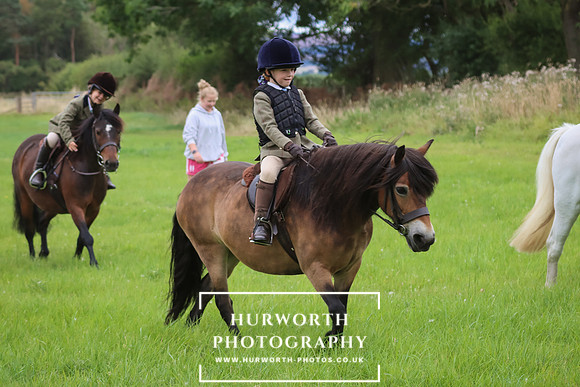 Hurworth Hunt 232