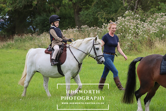 Hurworth Hunt 230
