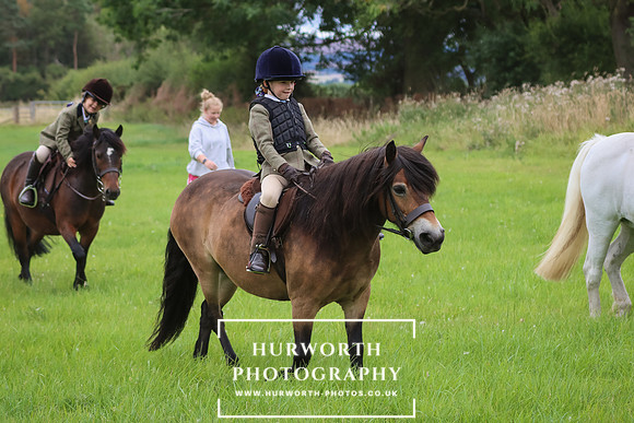 Hurworth Hunt 231