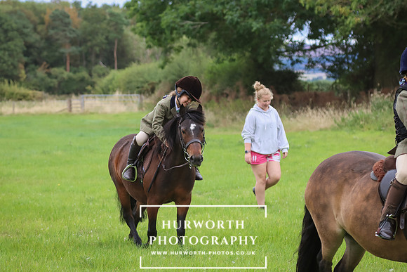Hurworth Hunt 233