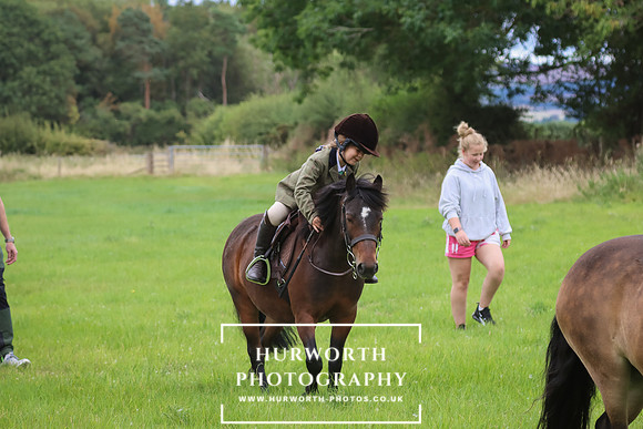 Hurworth Hunt 234