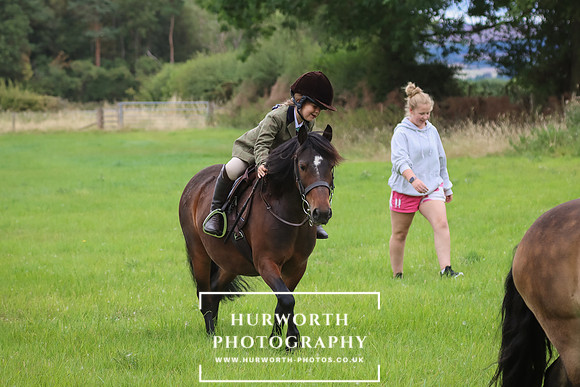Hurworth Hunt 235
