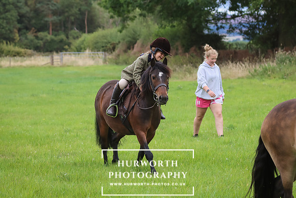 Hurworth Hunt 236
