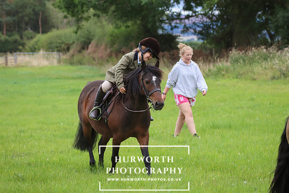 Hurworth Hunt 237