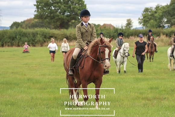 Hurworth Hunt 240