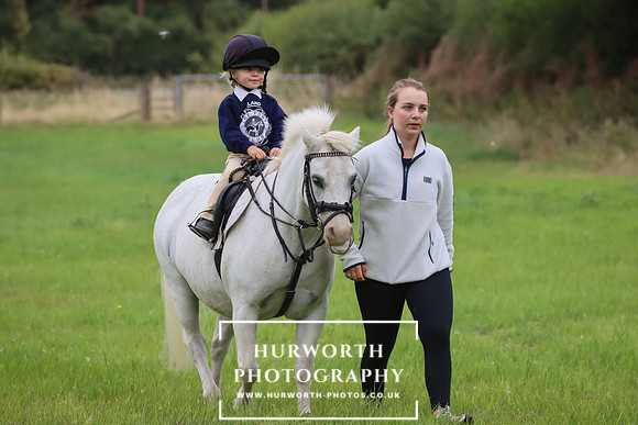 Hurworth Hunt 245
