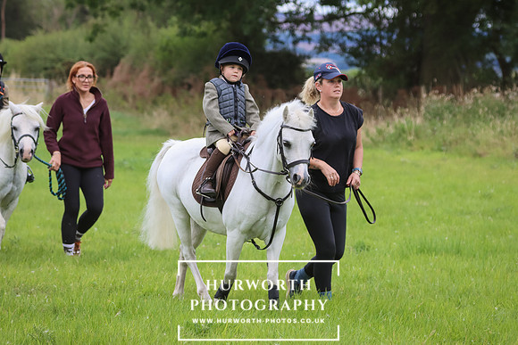Hurworth Hunt 246