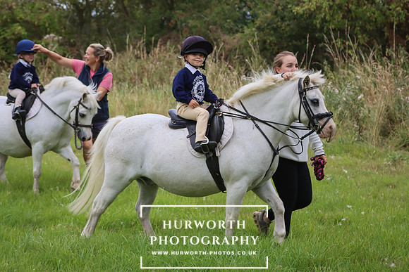 Hurworth Hunt 250