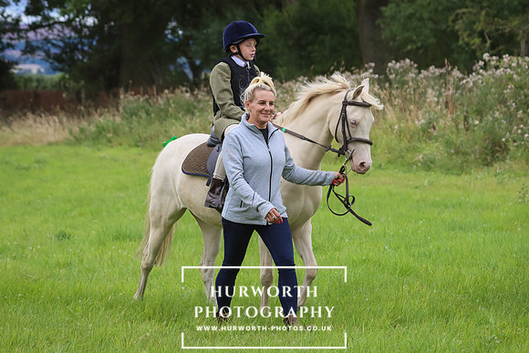 Hurworth Hunt 260