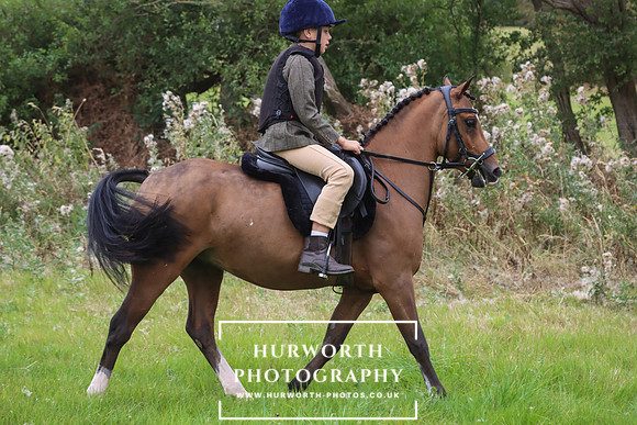 Hurworth Hunt 263