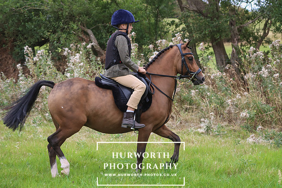 Hurworth Hunt 264