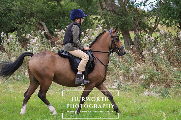 Hurworth Hunt 265