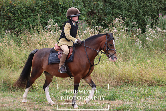Hurowth Hunt 302