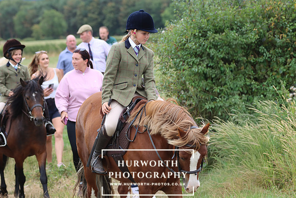 Hurowth Hunt 312
