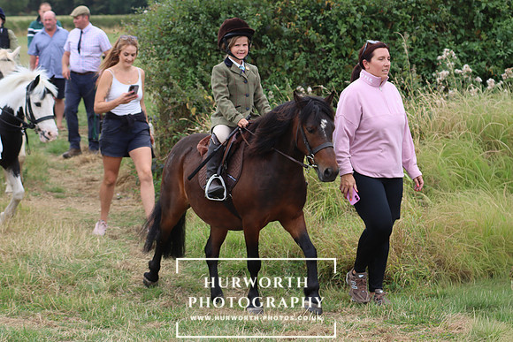 Hurowth Hunt 317