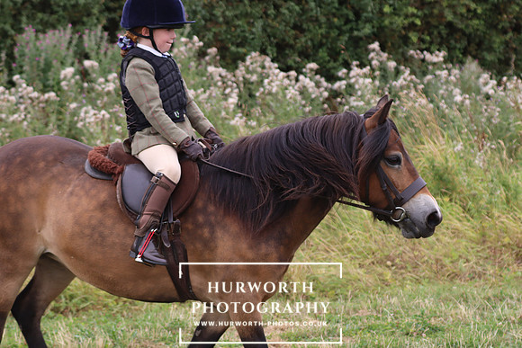 Hurowth Hunt 336