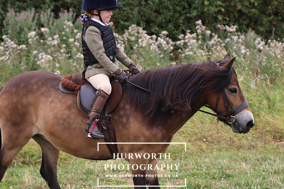 Hurowth Hunt 337