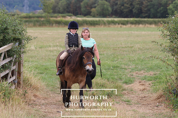 Hurowth Hunt 334