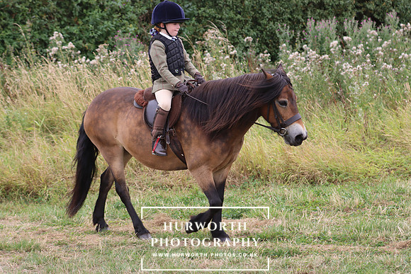 Hurowth Hunt 335