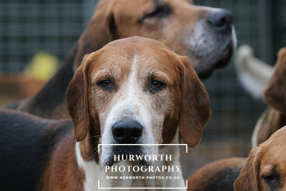 Hurworth Hunt  102
