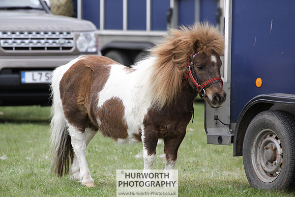 Prince Philip Games 023