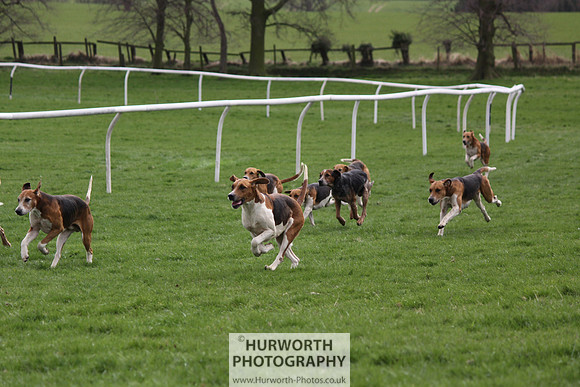 Hurworth Point to Point 033