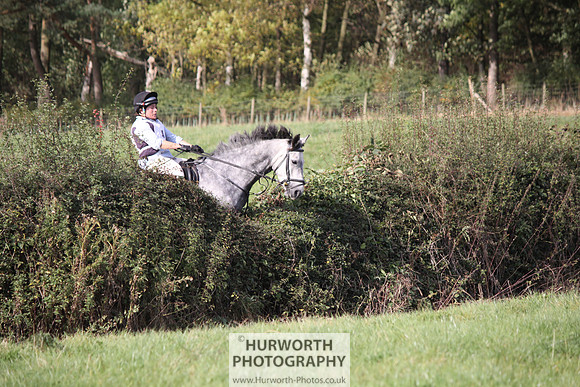 Hurworth Bilsdale Hedge Hop 531