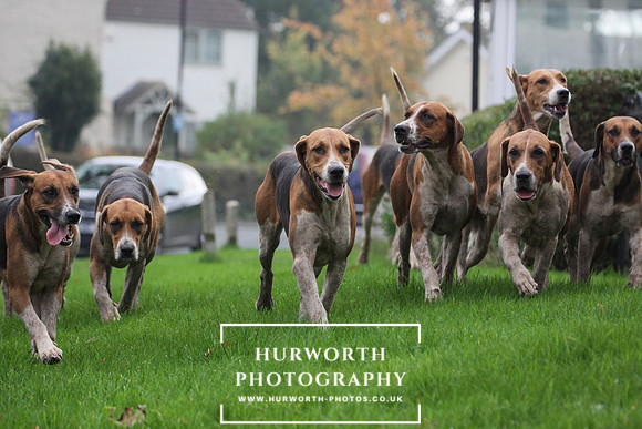 Hurworth Hunt 32