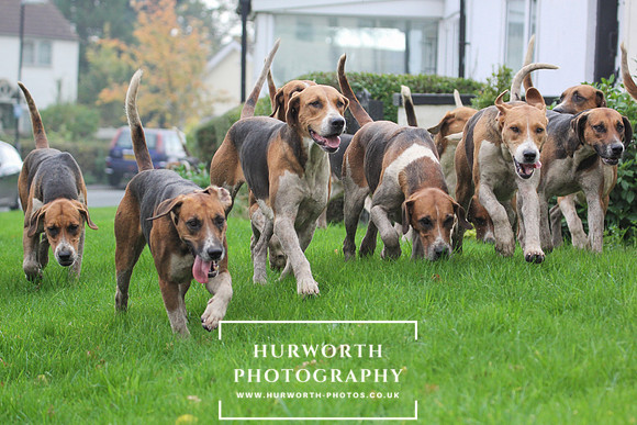 Hurworth Hunt 34