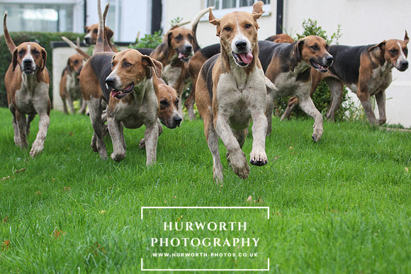 Hurworth Hunt 35