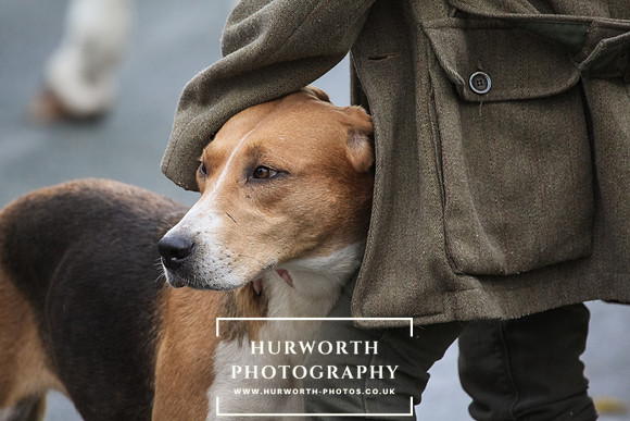 Hurworth Hunt 90