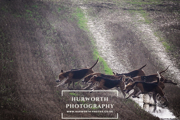 Hurworth Hunt 124