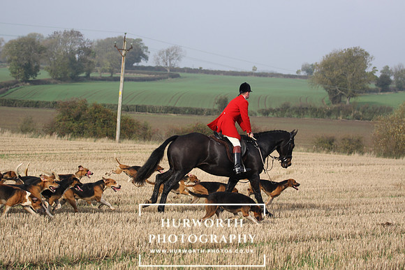 Hurworth Hunt 131