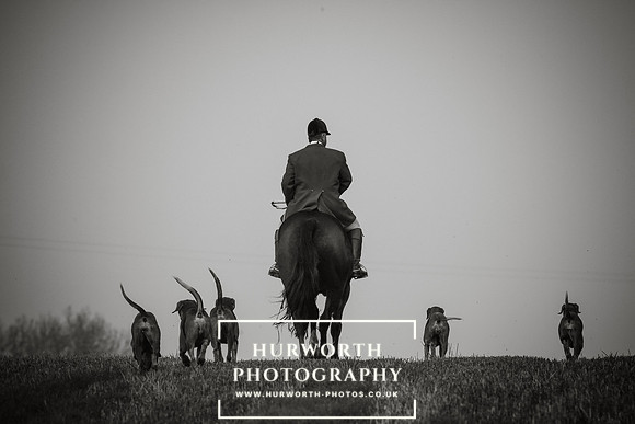 Hurworth Hunt 157